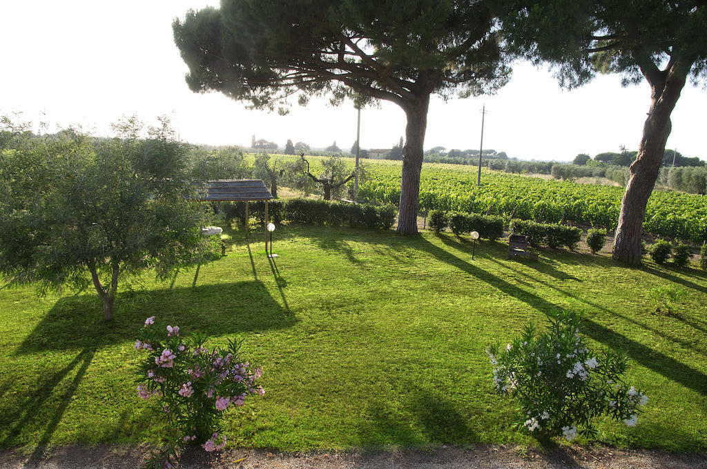 Agriturismo Quattro Pini Castagneto Carducci Cameră foto